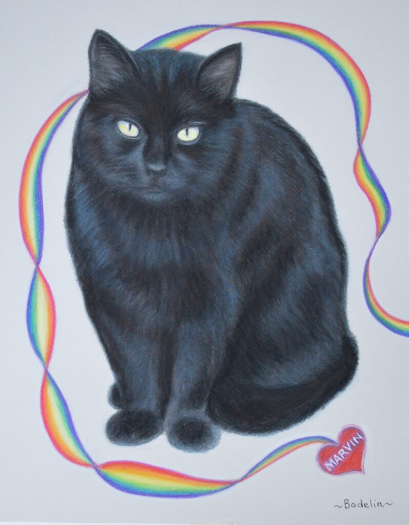 black cat memorial portrait